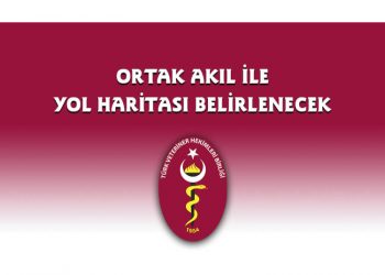 Ortak akıl ile yol haritası belirlenecek