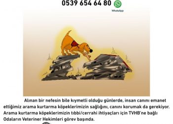 TÜRK VETERİNER HEKİMLERİ BİRLİĞİ, DEPREM BÖLGESİNDEKİ HAYVANLARA TEDAVİ VE MAMA DESTEĞİ VERİYOR