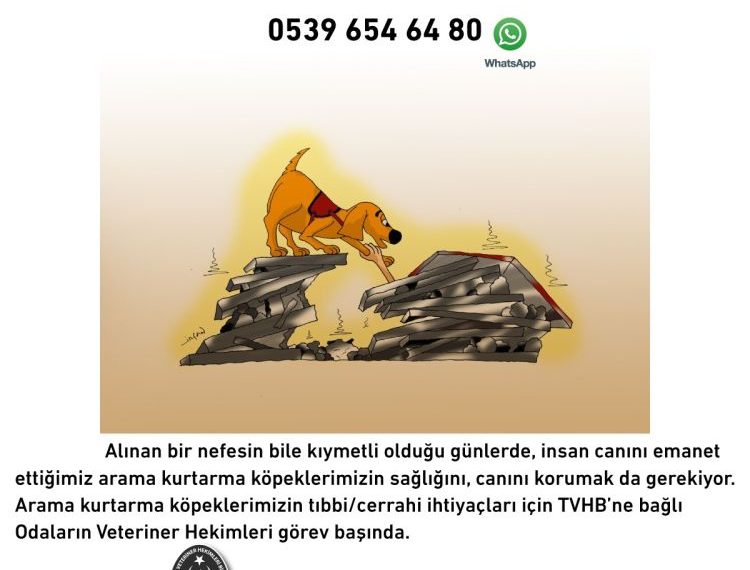 TÜRK VETERİNER HEKİMLERİ BİRLİĞİ, DEPREM BÖLGESİNDEKİ HAYVANLARA TEDAVİ VE MAMA DESTEĞİ VERİYOR