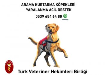 Arama kurtarma köpeklerimizin tıbbi/cerrahi ihtiyaçları için…