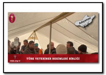 Kendileri de afet mağduru olan serbest Veteriner Hekimler…