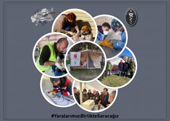 Yaralarımızı Birlikte Saracağız