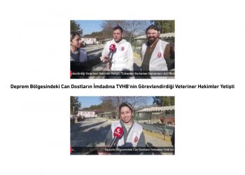 Deprem Bölgesindeki Can Dostların İmdadına TVHB’nin Görevlendirdiği Veteriner Hekimler Yetişti