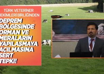 Türk Veteriner Hekimleri Birliğinden deprem bölgesinde orman ve meraların yapılaşmaya açılmasına sert tepki!