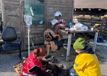 Türk Veteriner Hekimleri Birliği’nden acil çağrı!