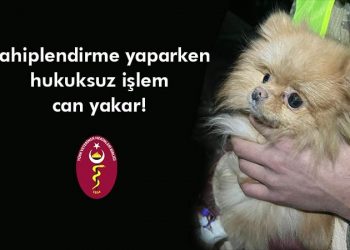 Sahiplendirme yaparken hukuksuz işlem yapmak can yakar!