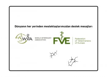 Dünyanın her yerinden meslektaşlarımızdan destek mesajları