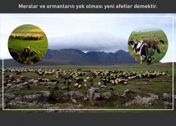 Meralar ve ormanların yok olması yeni afetler demektir.