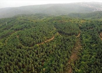 TVHB’den meralar ve ormanları yapılaşmaya açmayın çağrısı