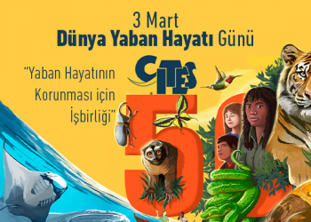 3 Mart Dünya Yaban Hayatı Günü