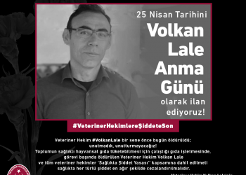 25 Nisan Volkan Lale Anma Günü