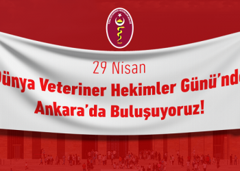 29 Nisan Dünya Veteriner Hekimler Günü’nde Ankara’da Buluşuyoruz!