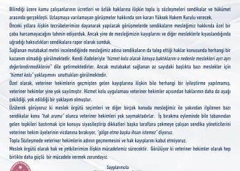 Toplu İş Sözleşmelerinde  Veteriner Hekimlere İlişkin Neler Var?
