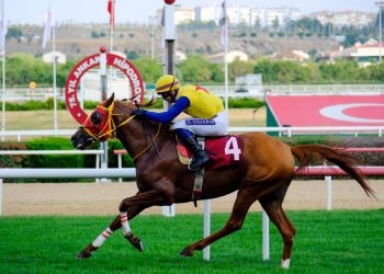 2023 Yılı Türk Veteriner Hekimler Birliği Koşusu Gerçekleştirildi