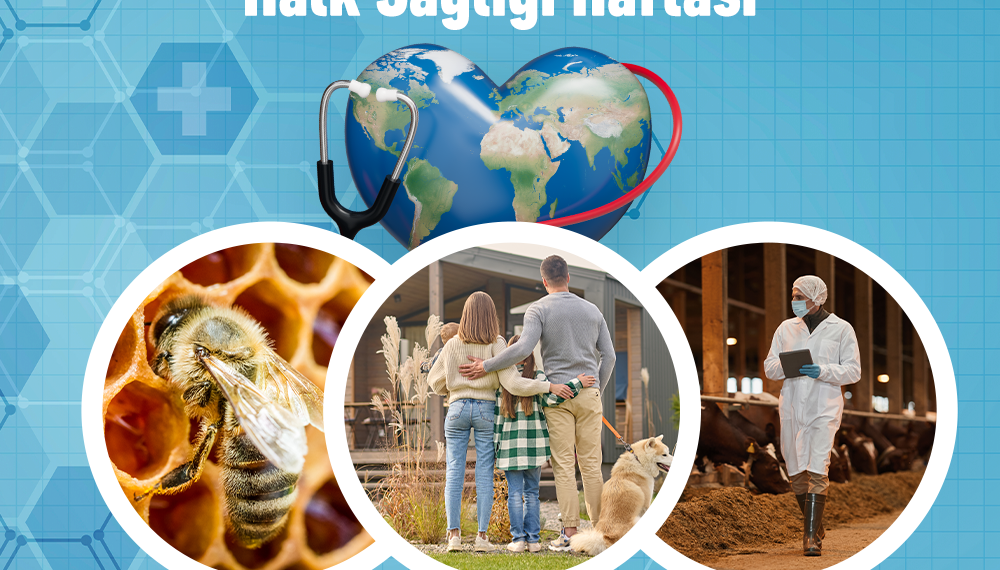 3-9 Eylül Halk Sağlığı Haftası