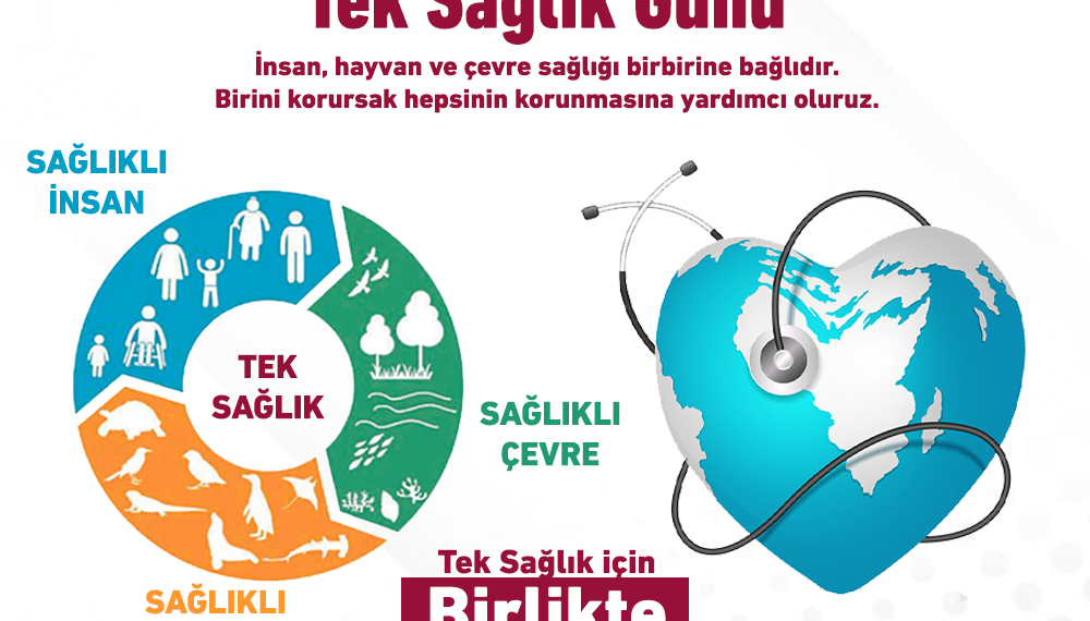 3 Kasım Tek Sağlık Günü