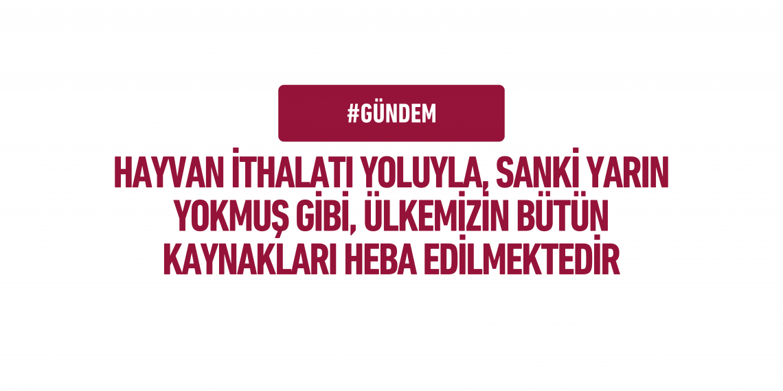 Hayvan İthalatı Yoluyla, Sanki Yarın Yokmuş Gibi, Ülkemizin Bütün Kaynakları Heba Edilmektedir