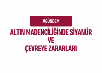 Altın Madenciliğinde Siyanür ve Çevreye Zararları