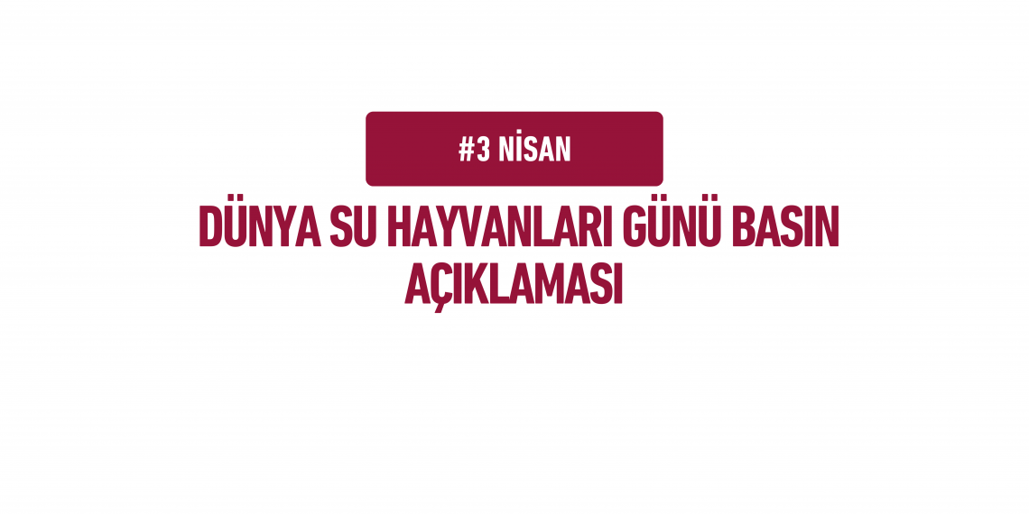 Türk Veteriner Hekimleri Birliği 3 Nisan Dünya Su  Hayvanları Günü Basın Açıklaması