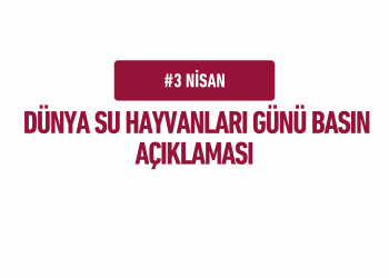 Türk Veteriner Hekimleri Birliği 3 Nisan Dünya Su  Hayvanları Günü Basın Açıklaması