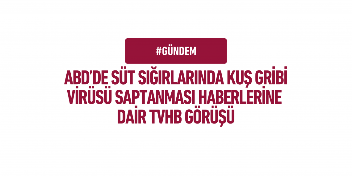 ABD’de Süt Sığırlarında Kuş Gribi Virüsü Saptanması Haberlerine Dair TVHB Görüşü