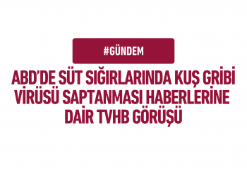 ABD’de Süt Sığırlarında Kuş Gribi Virüsü Saptanması Haberlerine Dair TVHB Görüşü