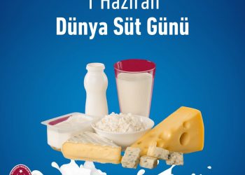 Dünya Süt Günü