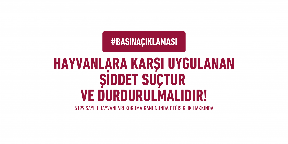 Hayvanlara Karşı Uygulanan Şiddet Suçtur ve Durdurulmalıdır