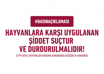 Hayvanlara Karşı Uygulanan Şiddet Suçtur ve Durdurulmalıdır