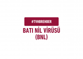 Batı Nil Virüsü (BNL) – TVHB Rehber