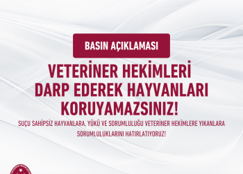 Veteriner Hekimleri Darp Ederek Hayvanları Koruyamazsınız! – Basın Açıklaması