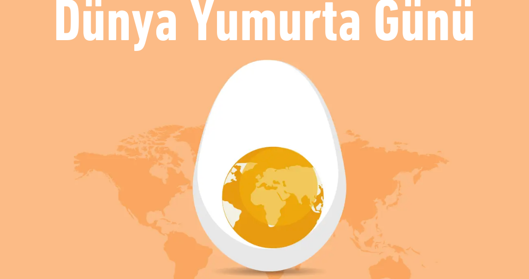 Türk Veteriner Hekimleri Birliği Dünya Yumurta Günü Basın Açıklaması