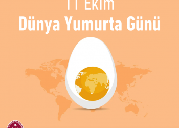 Türk Veteriner Hekimleri Birliği Dünya Yumurta Günü Basın Açıklaması