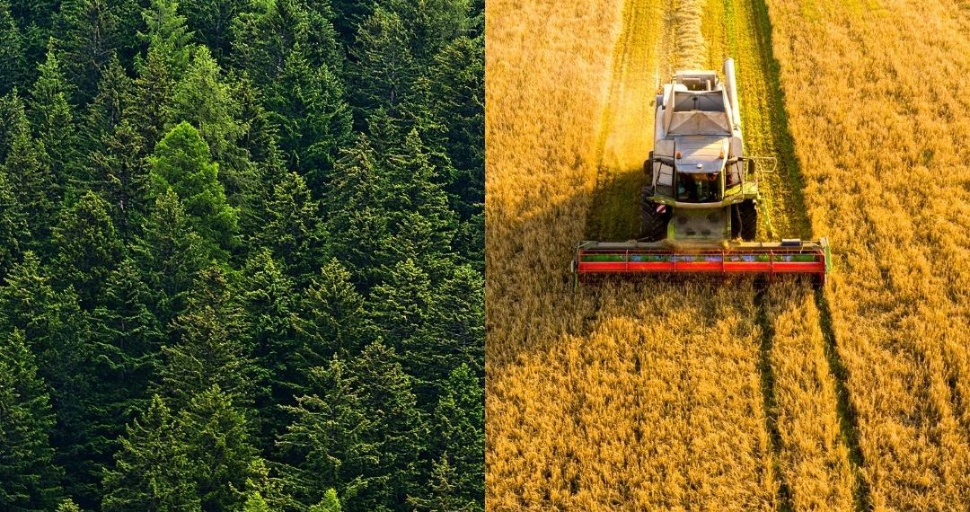 IV. Tarım Orman Şûrası