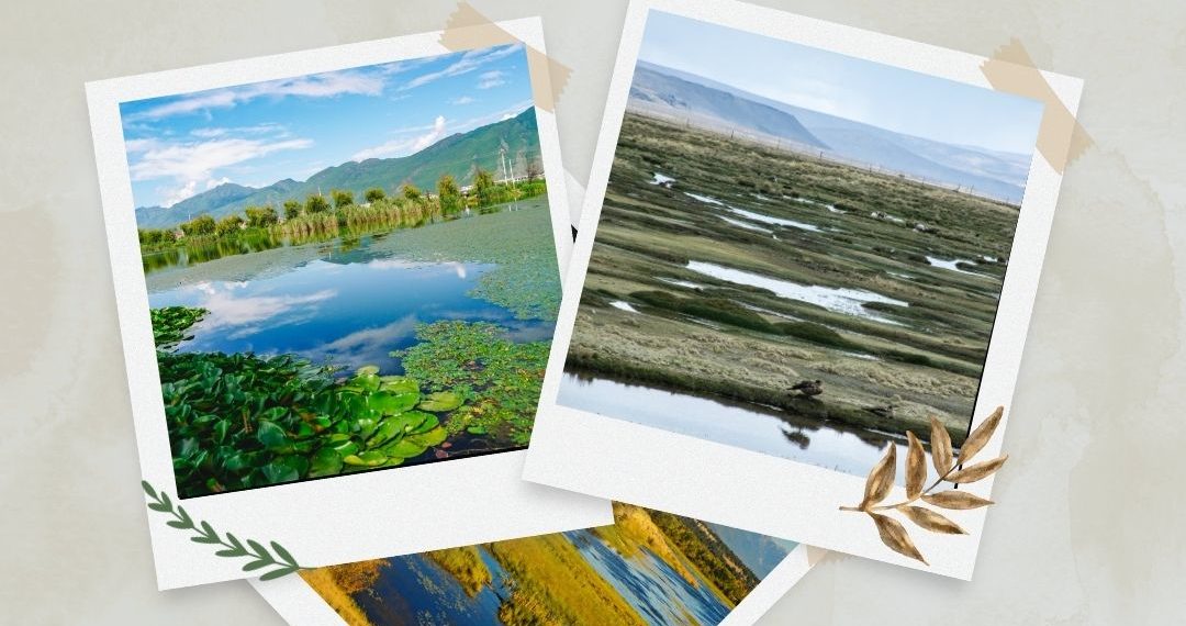 2 Şubat Dünya Sulak Alanlar Günü Basın Açıklamamız