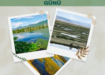 2 Şubat Dünya Sulak Alanlar Günü Basın Açıklamamız