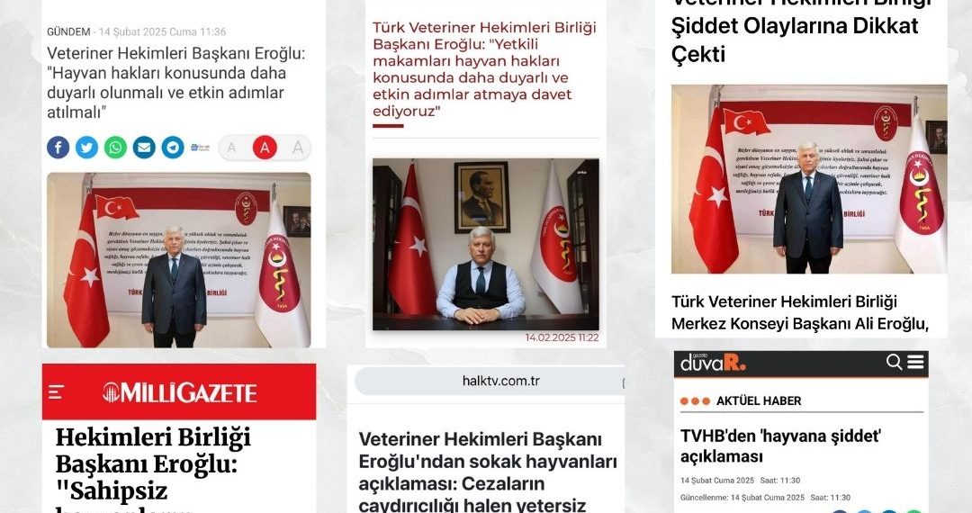 Sahipsiz Hayvanlara Yönelik Artan Şiddet Vakalarına İlişkin Basın Açıklaması