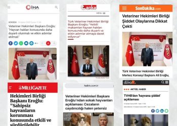 Sahipsiz Hayvanlara Yönelik Artan Şiddet Vakalarına İlişkin Basın Açıklaması
