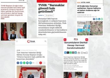 Osmaniye’de Barınakta 21 Köpeğin Ölü Bulunmasına İlişkin Basın Açıklaması
