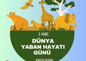 3 Mart Dünya Yaban Hayatı Günü