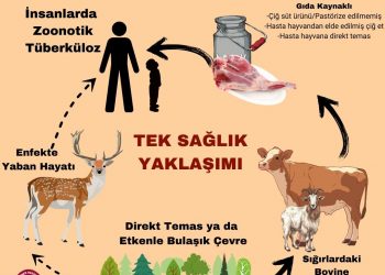 24 MART DÜNYA TÜBERKÜLOZ GÜNÜ