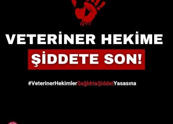Veteriner Hekime Şiddete Son!