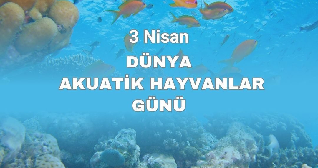 3 Nisan Dünya Akuatik Hayvanlar Günü