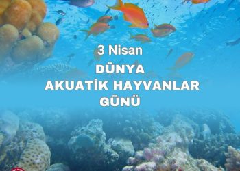 3 Nisan Dünya Akuatik Hayvanlar Günü