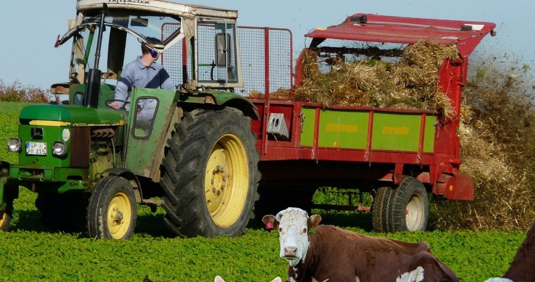 14 MAYIS DÜNYA ÇİFTÇİLER GÜNÜ