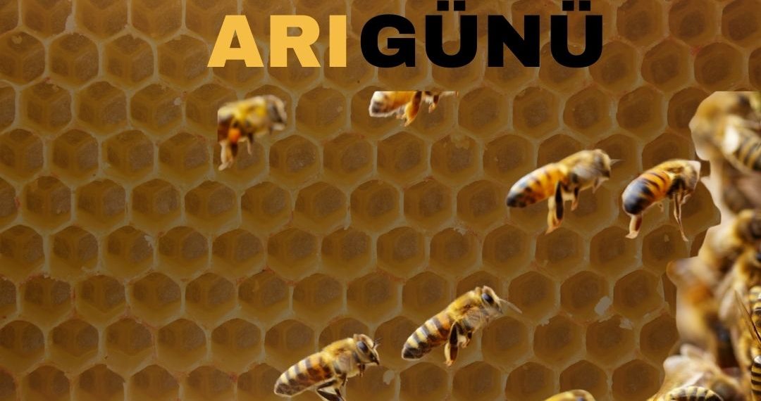 20 Nisan Dünya Arı Günü