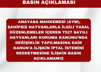Anayasa Mahkemesi (AYM), Sahipsiz Hayvanlarla İlgili Yasal Düzenlemeler İçeren 7527 Sayılı Hayvanları Koruma Kanunu’nda Değişiklik Yapılmasına Dair Kanun’a İlişkin İptal İstemini Reddetmesine İlişkin Basın Açıklamamız