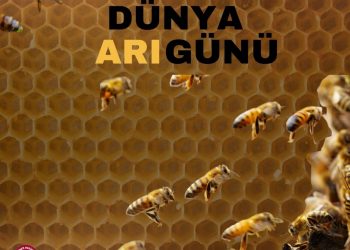 20 Nisan Dünya Arı Günü