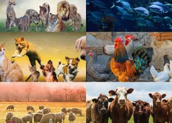 GEÇMİŞ OLSUN ERZİNCAN