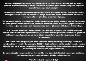 TÜRK VETERİNER HEKİMLERİ BİRLİĞİ MERKEZ KONSEYİ’NDEN KAMUOYUNA